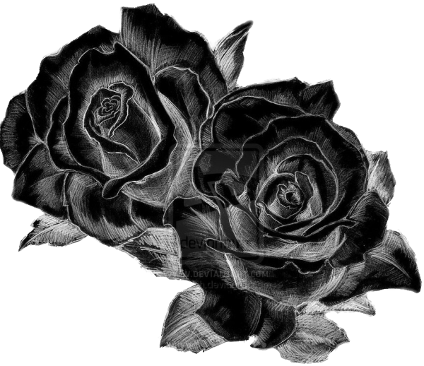 Черно белые рисунки девушек