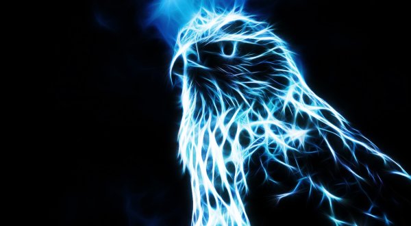 Неоновые птицы