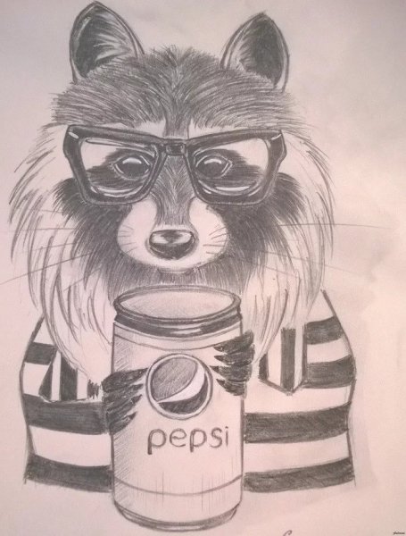 Красивые разноцветные животные