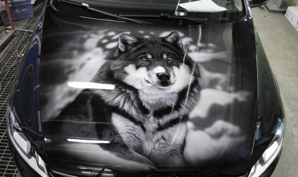Аэрография волка на авто