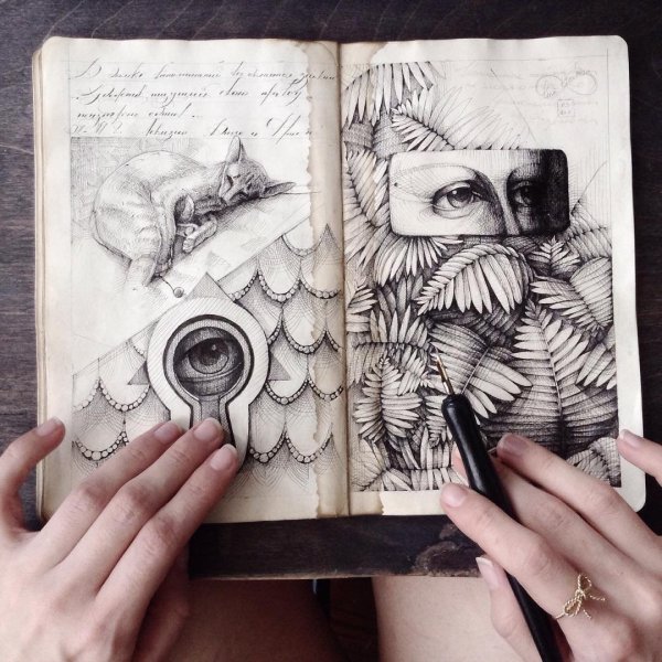 Рисунки для скетч Дука