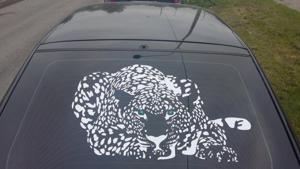 Автонаклейки на заднее стекло автомобиля