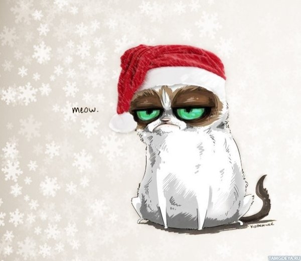 Смешные новогодние картинки