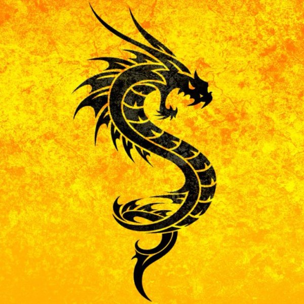 Тату дракон