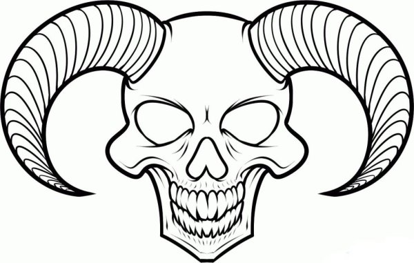 Череп эскиз легкий