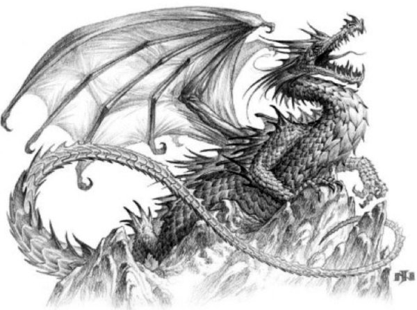 Дракон для срисовки