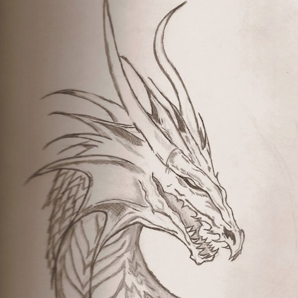 Дракон карандашом
