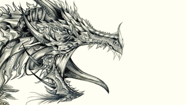 Эскизы для выжигания дракон
