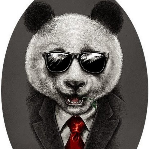 Костюм панды