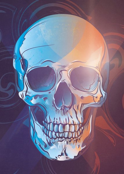 Красивый череп