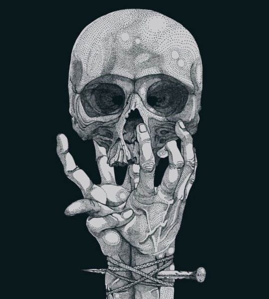 Прикольные черепа