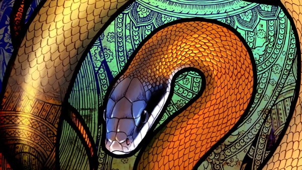 Fire Snake Wallpapers Bottle