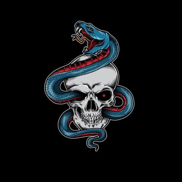 Череп змея обои