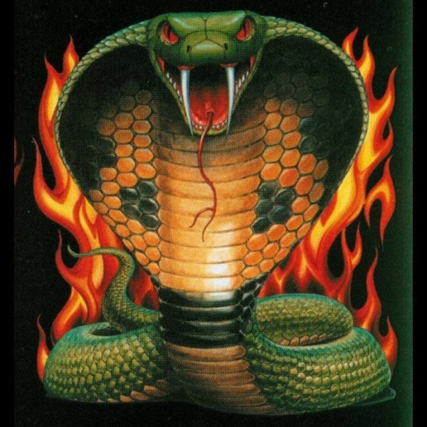 Огненная Королевская Кобра