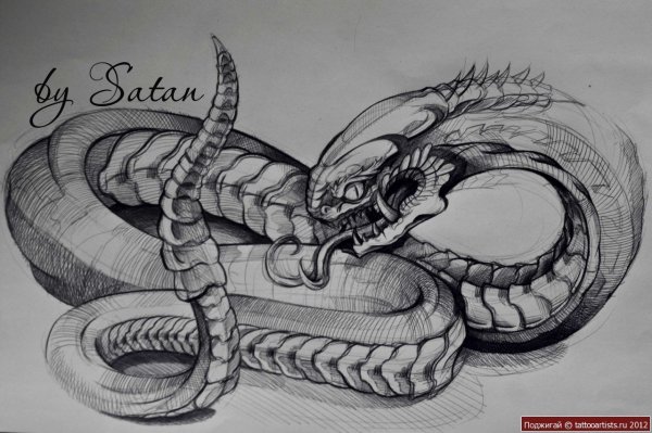 Эскиз змеи