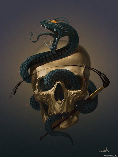 Череп со змеями