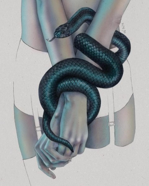 Красивые арты со змеями