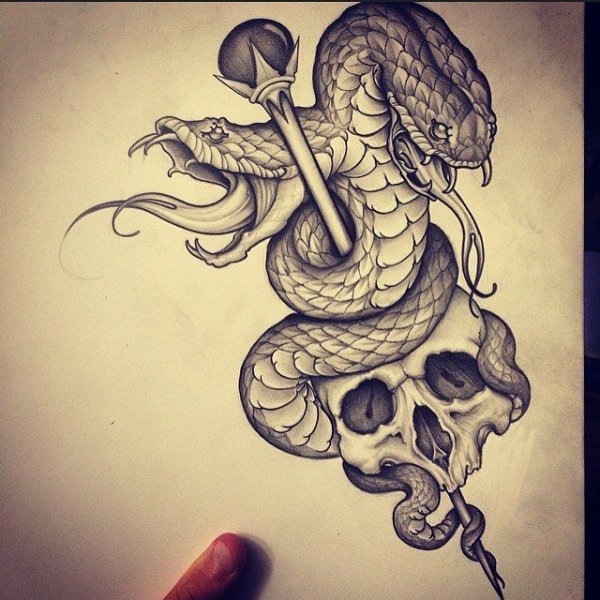 Тату змеи эскизы