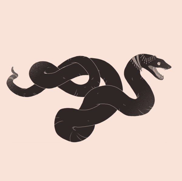 Змеи Эстетика