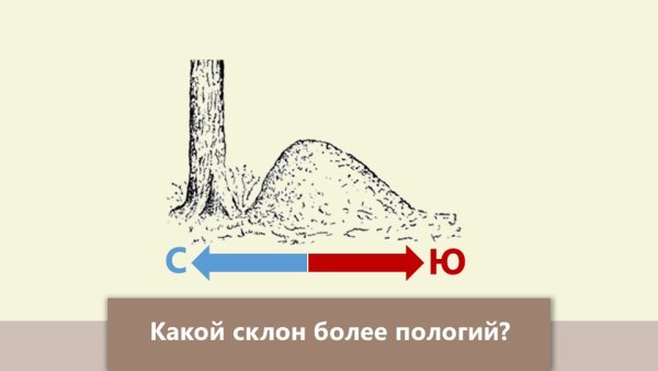 Холм на плане местности