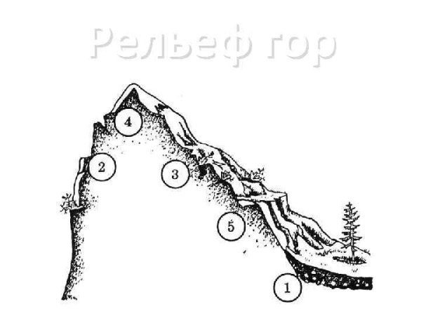 Изолинии изогипсы