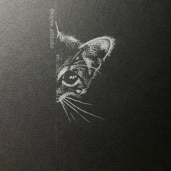 Kerby Rosanes рисунки