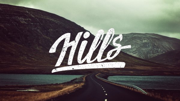 Кот в очках обои