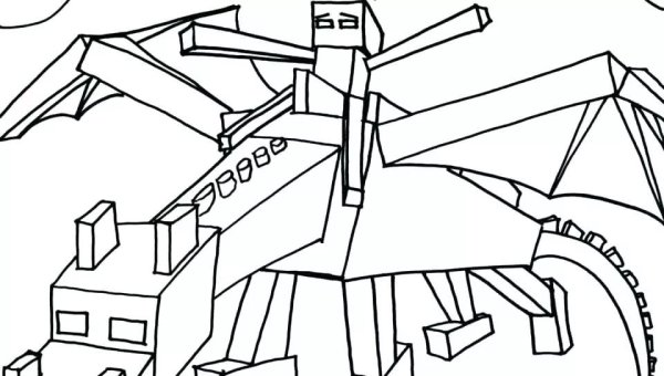 Раскраска майнкрафт ЭНДЕР дракон и Стив