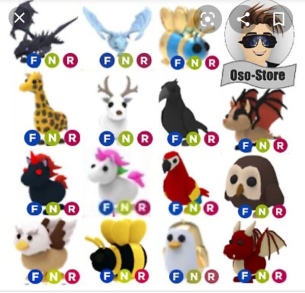 Петы из адопт ми