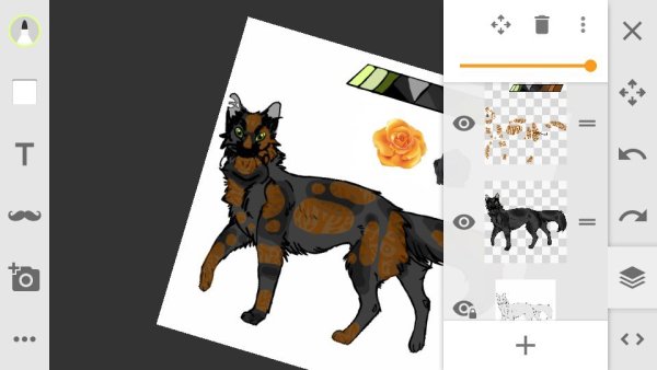 Корги адопт ми