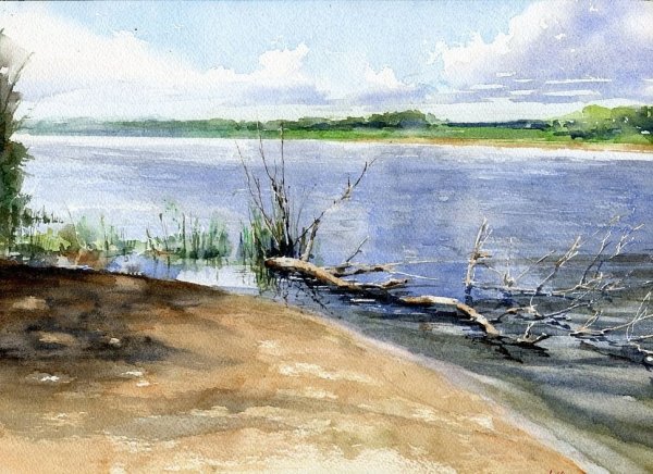 Шишкин река Волга