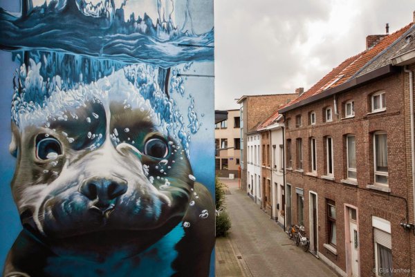 Стена в доме арт