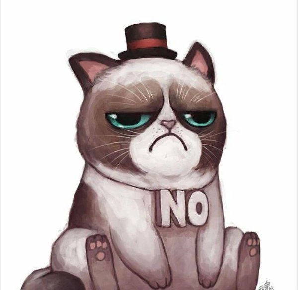 Крутой кот арт