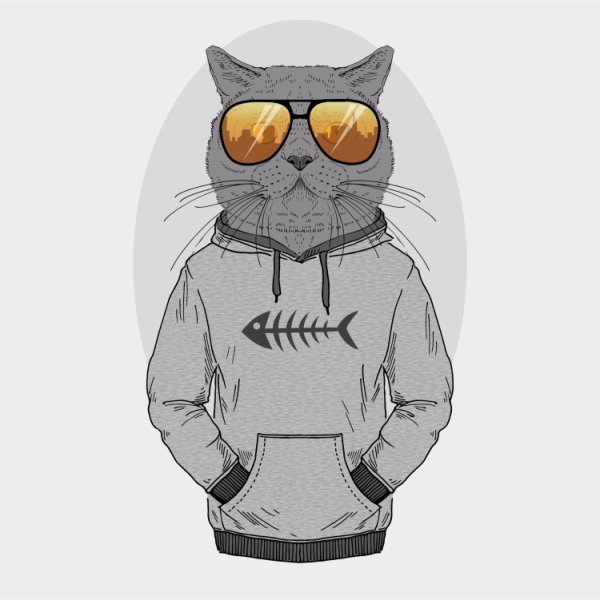 Котик в очках