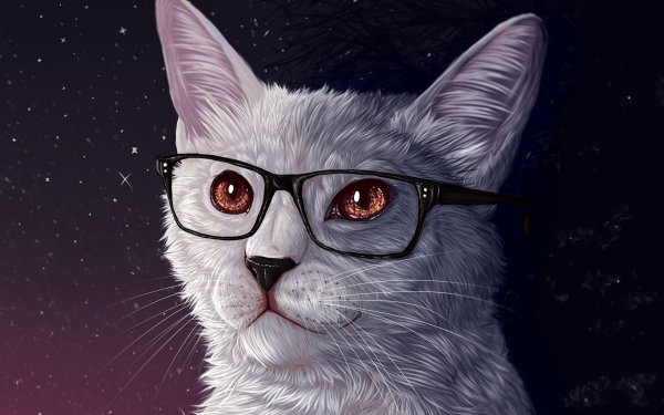 Крутые коты