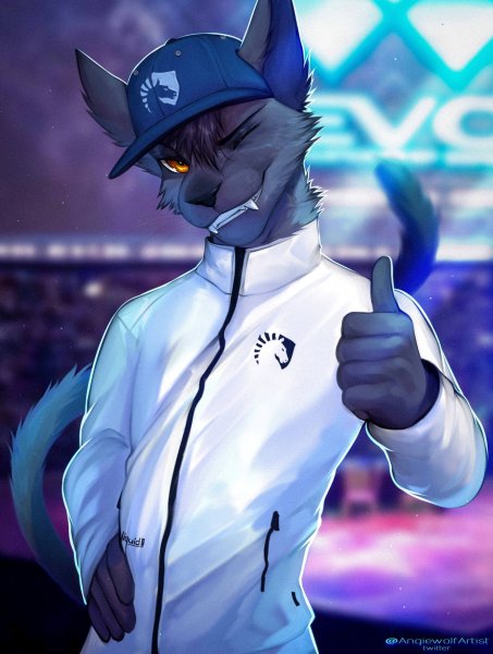 Крутой кот на аву