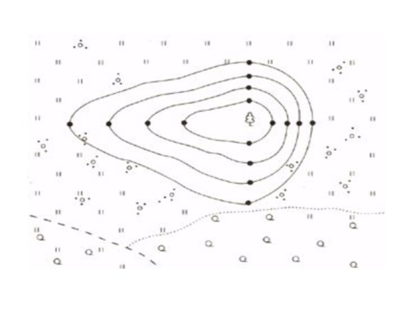 Горизонтали и бергштрихи на топографической карте