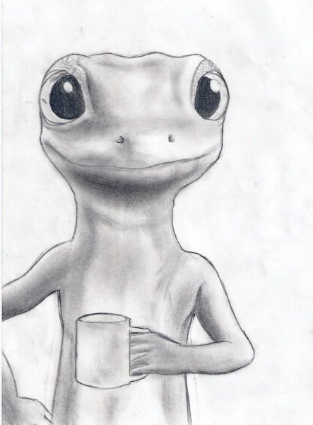 Геккон для срисовки