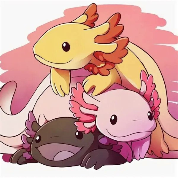 Аксолотль агатовый дракон