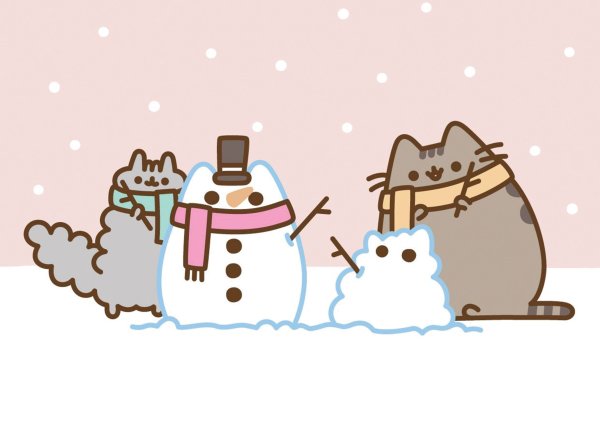 Совы Лиа Селина