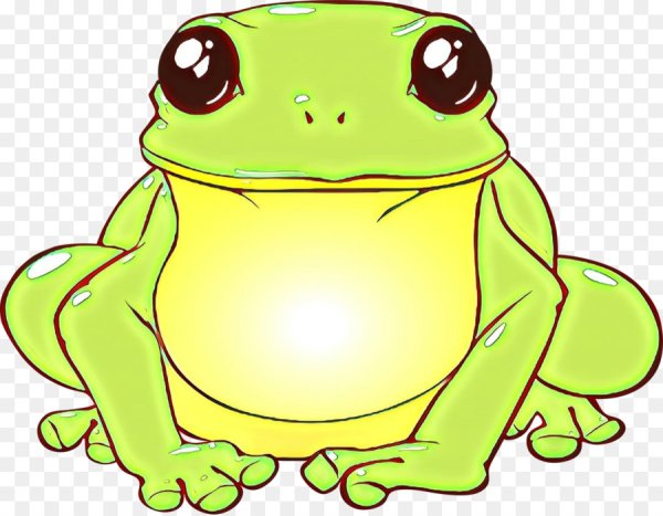 Лягушка рисунок