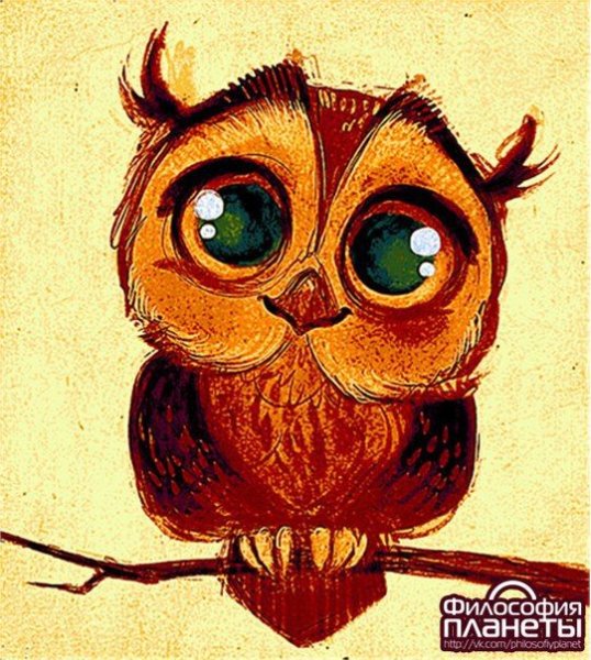 Сова рисунок