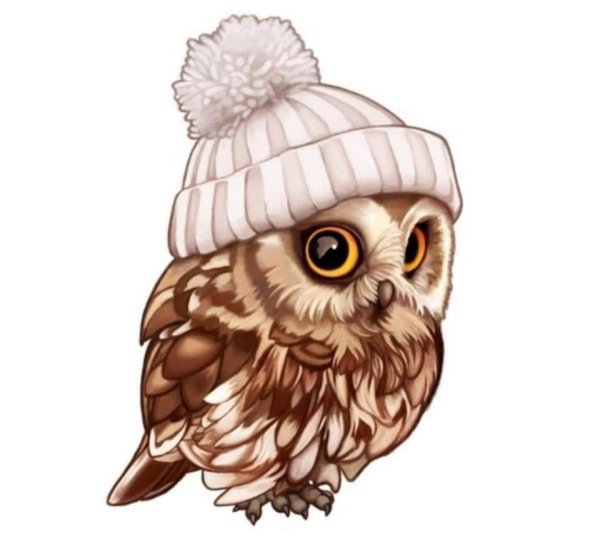 Совенок в шапочке