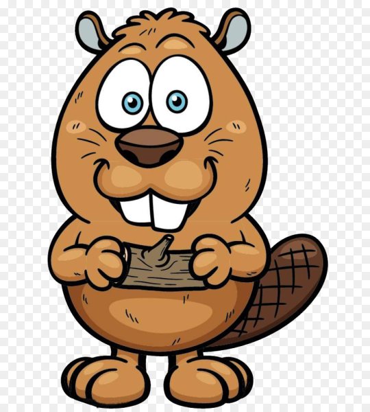 Рисунок бобра смешной