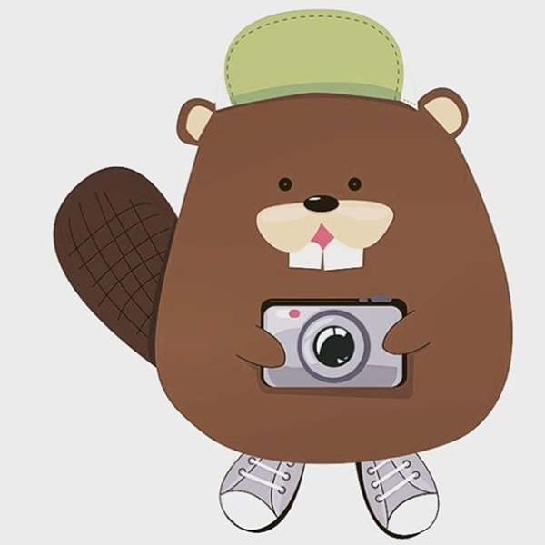 Бобр с фотоаппаратом