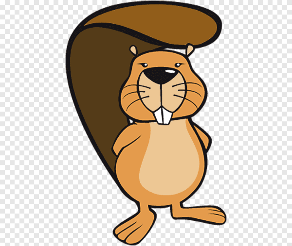 Бобёр Король