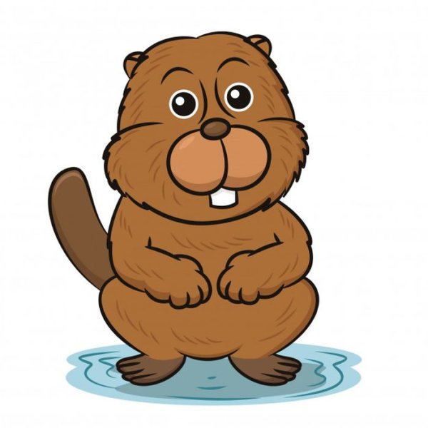 Бобер для детей