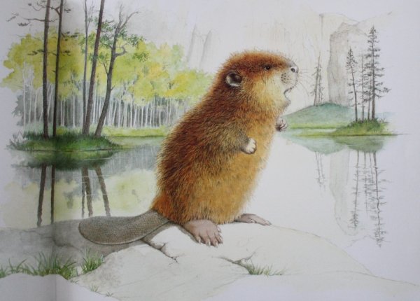 Снегирев Геннадий Бобренок