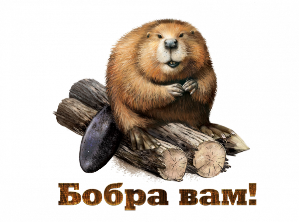 Доброе утро бобры