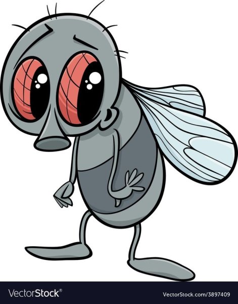 Муха иллюстрация